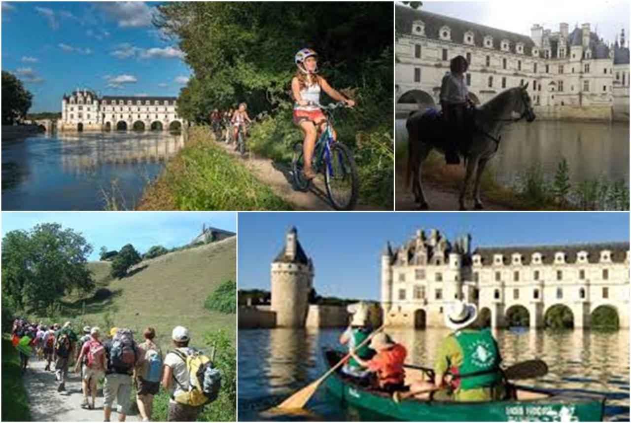 Le Roi Coq Chenonceaux Exterior foto
